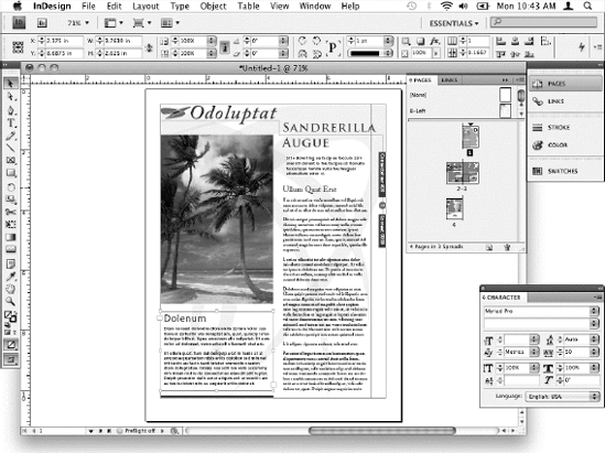 The Adobe InDesign application