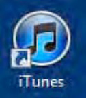 Your iTunes User Guide