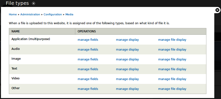 The File Entity module provides several media file types