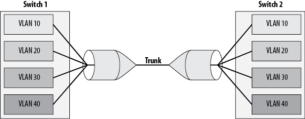 Visual representation of a trunk