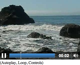 HTML5 video embed with controls