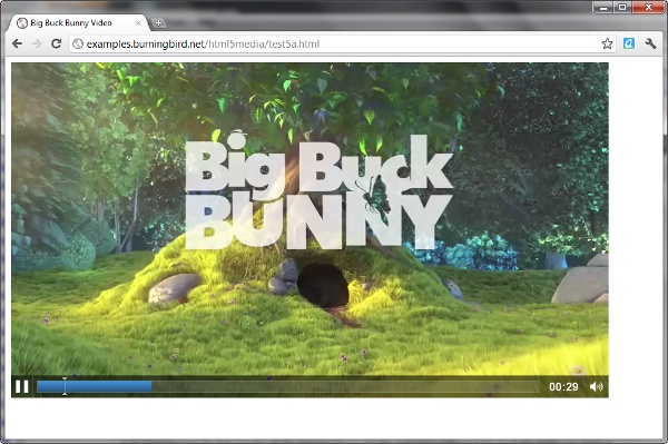 Video playing in Chrome with support for HTML5 video