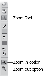 On the Tools panel, when you click each tool, the Options section shows you buttons that let you modify that particular tool. In the Tools panel’s View section, for example, when you click the Zoom tool, the Options section changes to show you only zooming options: Enlarge (with the + sign) and Reduce (with the – sign).