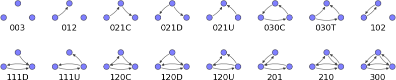 Triad census in directed networks
