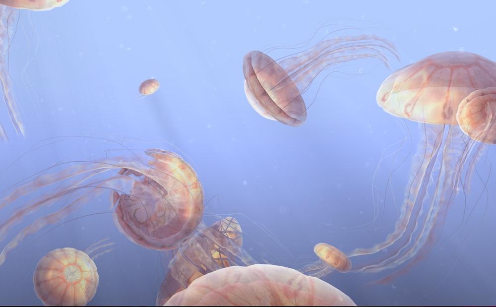 WebGL jellyfish simulation (), reproduced with permission from Aleksander Rodic