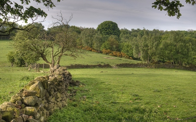 A bucolic Derbyshire landscapeWikimedia Commons: