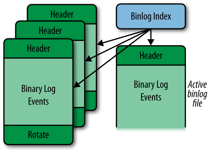 The structure of the binary log
