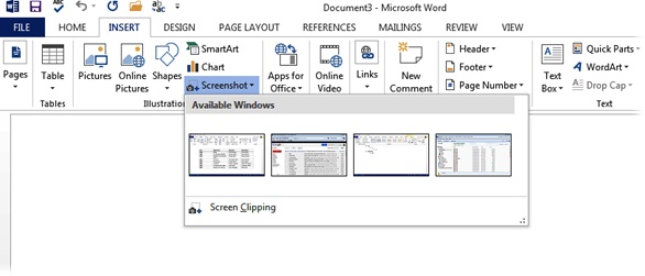 Word can take a snapshot of any other window you have open and insert it into your document.