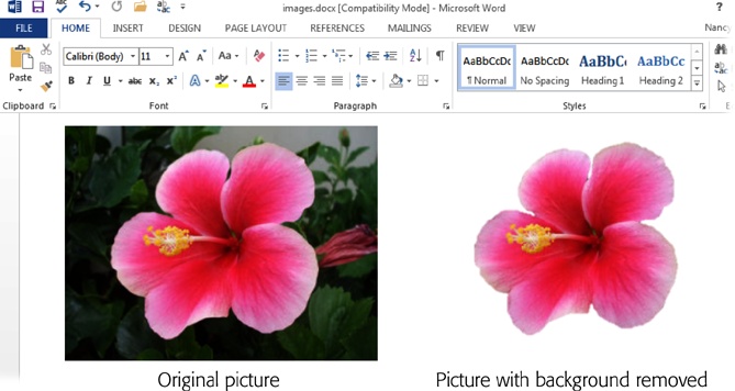 ‘Fraid of Photoshop? You don’t need image-editing software to remove the background from a picture—you can do it right in Word.