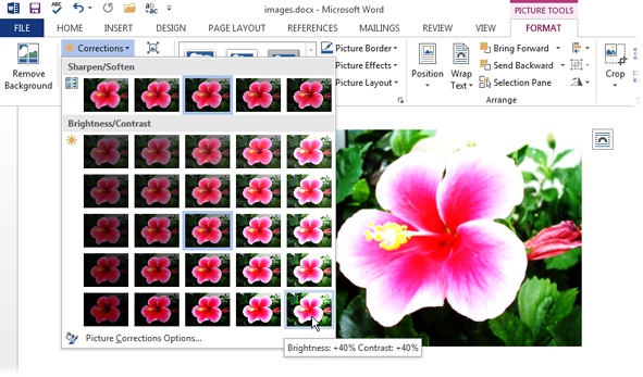 You don’t have to guess how changes you make to brightness will affect an image; the thumbnails in the Brightness/Contrast menu show you. When you pass the mouse pointer over a thumbnail, Word tells you what you’re adjusting and shows a live preview of the effect on the image in your document (this may take a few seconds).