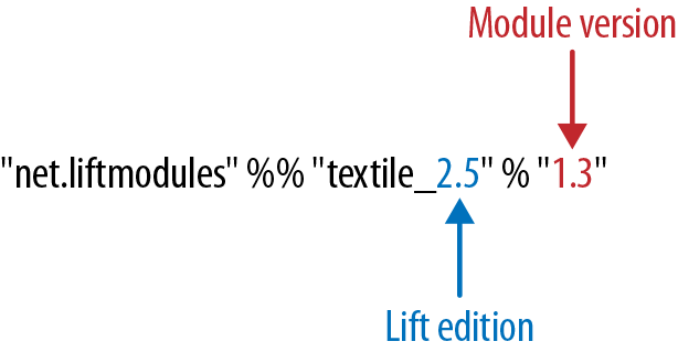 The structure of a module version