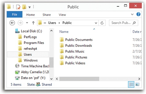 Behind the scenes, Windows maintains another profile folder, whose subfolders closely parallel those in your own. What you see—the contents of the Desktop folder, Documents folder, Favorites list, and so on—is a combination of what’s in your own user profile folder and what’s in the Public folder.