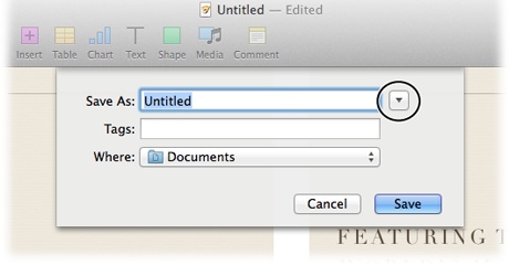 The compact version of the Save dialog box (shown here) has three fields: Save As, Tags, and Where. Type the name of your document in the Save As field. Tags are an optional extra that can help you find a file in a hurry; see the box on page 15 for more information on tags. Use the Where field to tell Pages where to save your document.If you want to take a look at the expanded version of the Save dialog box (it’s shown in Figure 1-10), click the downward-pointing triangle circled here.