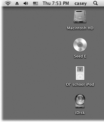 You may see all kinds of disks on the Mac OS X desktop (shown here: hard drive, CD, iPod, iDisk)âor none at all, if youâve chosen to hide them using the FinderâPreferences command. But chances are pretty good you wonât be seeing many floppy disk icons.If you do decide to hide your disk icons, you can always get to them as you do in Windows: by opening the Computer window (GoâComputer).