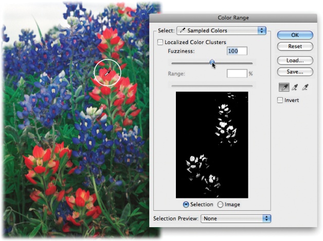 The Color Range command is handy when you need to select an area with a lot of details, like the red and blue petals of these flowers. The image in the dialog box’s preview area shows the part that Photoshop will select when you click the OK button.