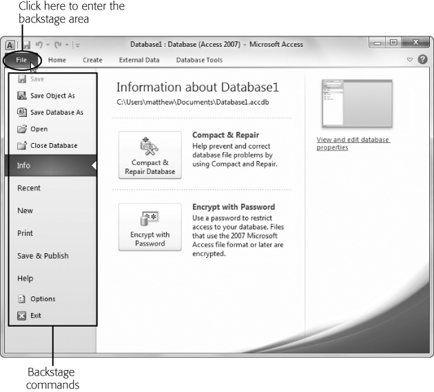 Click the File button to go backstage. The name of the button is a nod to Access 2003 and other older, more traditional Windows programs, which group many of these tasks together in a File menu.