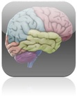 Best App for Brain Studies