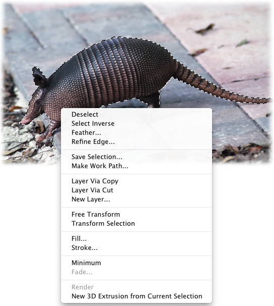 To let you know an area is selected, Photoshop surrounds it with tiny, moving dashes that look like marching ants. Here you can see the ants running around this armadillo.If you Control-click (right-click) inside the selection, you see the shortcut menu shown here, which gives you super quick access to frequently used, selection-related commands.Selections don’t hang around forever—when you click somewhere outside the selection with a selection tool, the original selection disappears, forcing you to recreate it. However, you can summon the last selection you made by choosing Select→Reselect. Page 197 explains how to save a selection so you can use it again later.(FYI, the nine-banded armadillo is the state animal of Texas. Didn’t think you’d learn that from this book, did ya?)