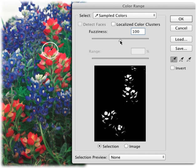The Color Range command is good at selecting areas with lots of details, like the red and blue petals of these flowers. The dialog box’s preview area shows which parts of the image Photoshop will select when you click OK (they’re displayed in white). If you want to save your settings to use again later, click Save and give the preset a meaningful name. (Color Range presets are stored in the same spot as the rest of your presets.)As the box on page 167 explains, it’s sometimes easier to select what you don’t want in order to get the selection you need. To use the Color Range dialog box to select what you don’t want, turn on its Invert checkbox.