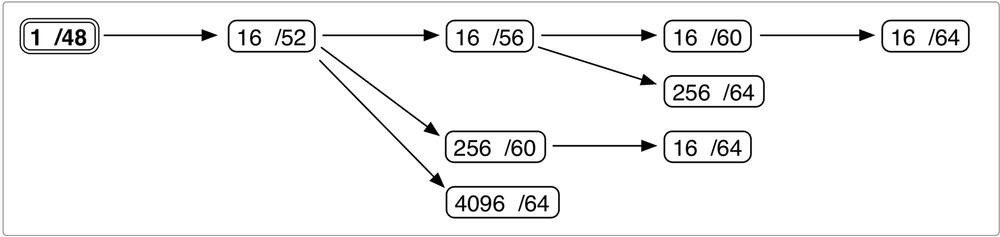 IPv6 site prefix visualization (detail 1)