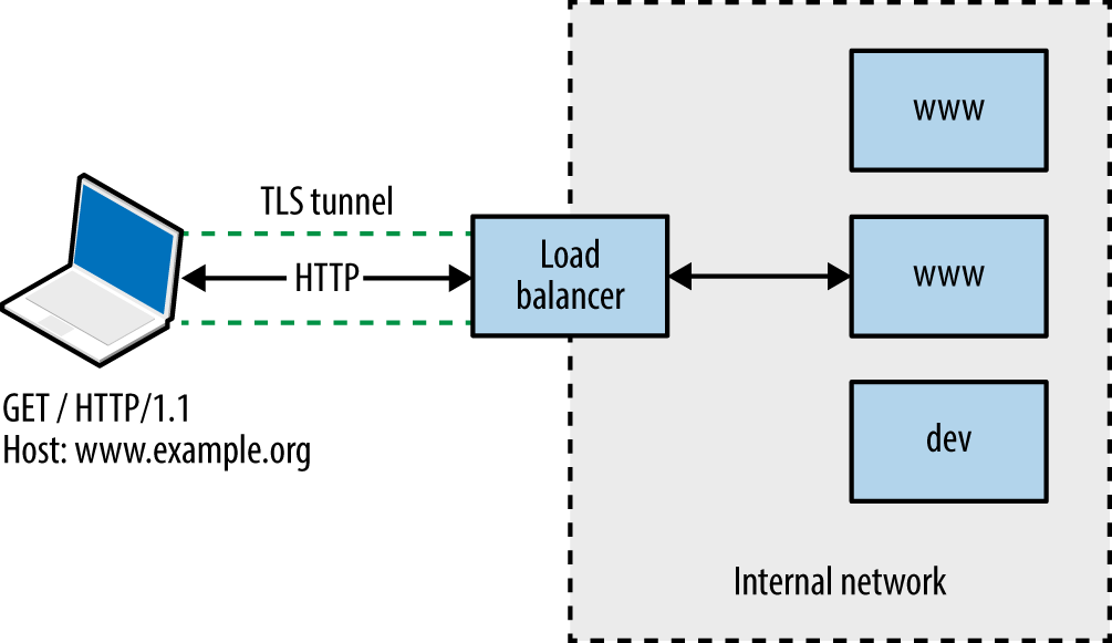 Connecting to a virtual host via HTTP 1.1 and TLS
