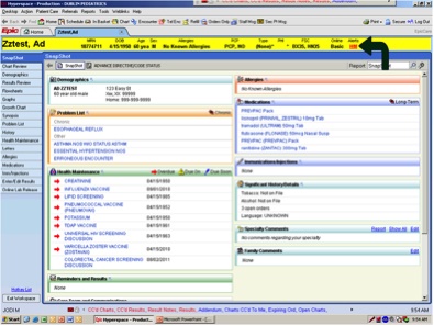 A screenshot of the Epic charting software used by many hospitals in the US (source: )
