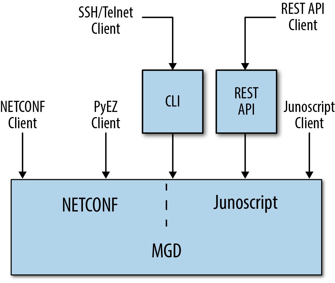 This figure illustrates the way various management
            connections end up as sessions connected to MGD. CLI connections
            and REST API connections become Junoscript connections to MGD.
            PyEZ, op, commit, and event scripts can launch RPCs by opening
            Junoscript or NETCONF sessions to MGD. Finally, a user can
            directly open a NETCONF or Junoscript connection to MGD.