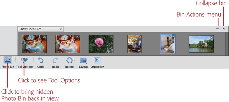 The Photo Bin at the bottom of the Editor window holds a thumbnail of every open photo. Click the arrow in the bin’s top-right corner to collapse it, and use the button at the bottom left to bring it back. Clicking the Tool Options button displays settings for the tool you’re currently using.