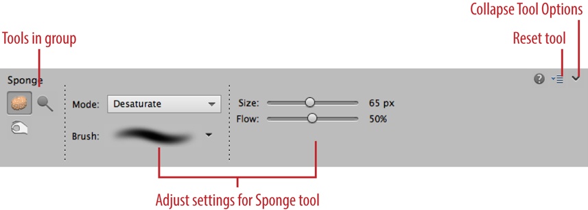 The Tool Options area displays settings for the current tool. Here you see the Sponge tool’s options, and the icons for the Dodge and Burn tools, which share its Tools panel slot. Remember, the Tool Options area replaces the Photo Bin when you click a tool’s icon. You can switch between the Photo Bin and the Tool Options by clicking their buttons at the bottom of your screen.