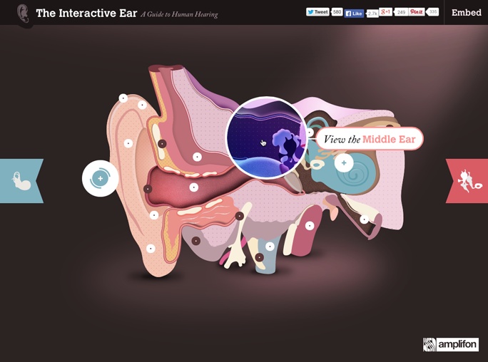 The Interactive Ear (), an interactive guide to human hearing, lets visitors learn about and explore the different parts of the human ear. New information appears in response to mouse movements and clicks. With JavaScript, you can create your own interactive effects.