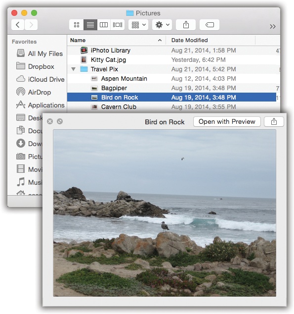 Once the Quick Look window is open, you can play a file (movies and sounds), study it in more detail (most kinds of graphics files), or even read it (PDF, Word, and Excel documents). You can also click another icon, and another, and another, without ever closing the preview; the contents of the window simply change to reflect whatever you’ve just clicked.Supertip: Quick Look works even on icons in the Trash, so you can figure out what something is before you nuke it forever.
