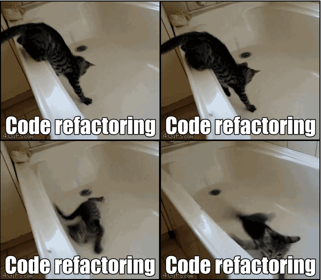 An adventurous cat, trying to refactor its way out of a slippery bathtub