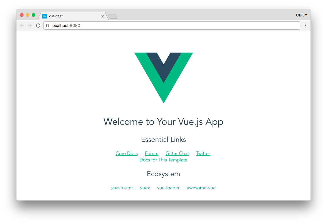 The basic app set up by vue-cli