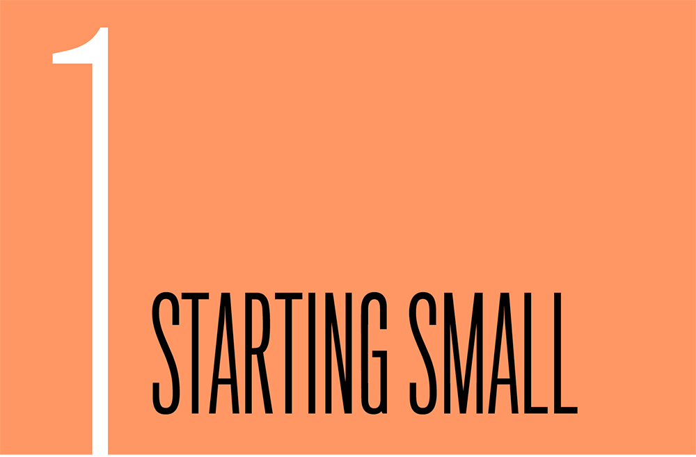 Chapter 1: Starting Small