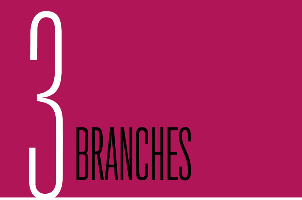Chapter 3: Branches