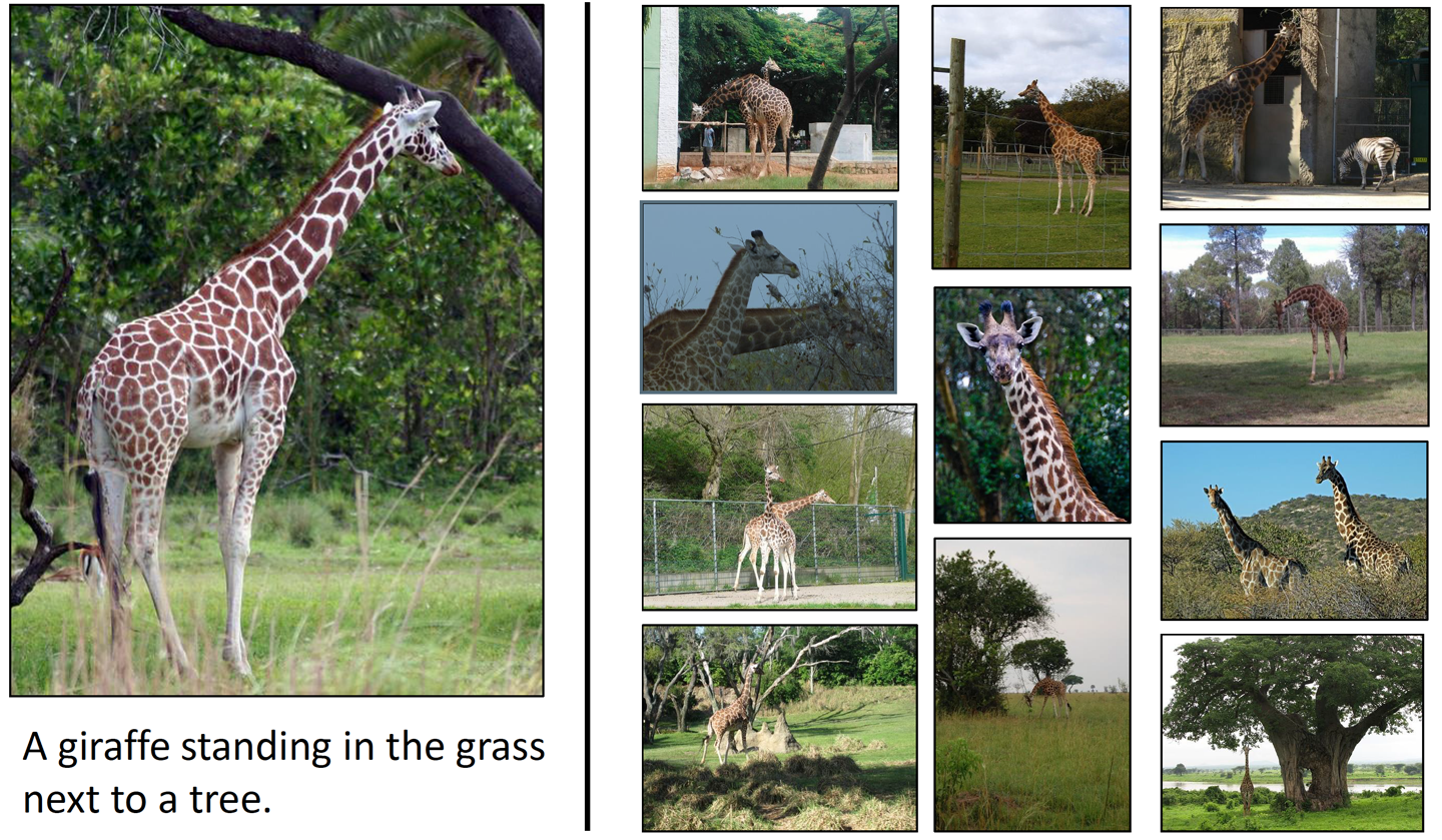 The Giraffe-Tree problem (image source: Measuring Machine Intelligence Through Visual Question Answering, C. Lawrence Zitnick, Aishwarya Agrawal, Stanislaw Antol, Margaret Mitchell, Dhruv Batra, Devi Parikh)