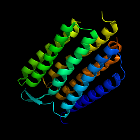 A conformation of bacteriorhodopsin (used to capture light energy) rendered in 3D. Protein conformations are particularly complex, with multiple 3D geometric motifs, and serve as a good reminder that molecules have geometry in addition to their chemical formulas.