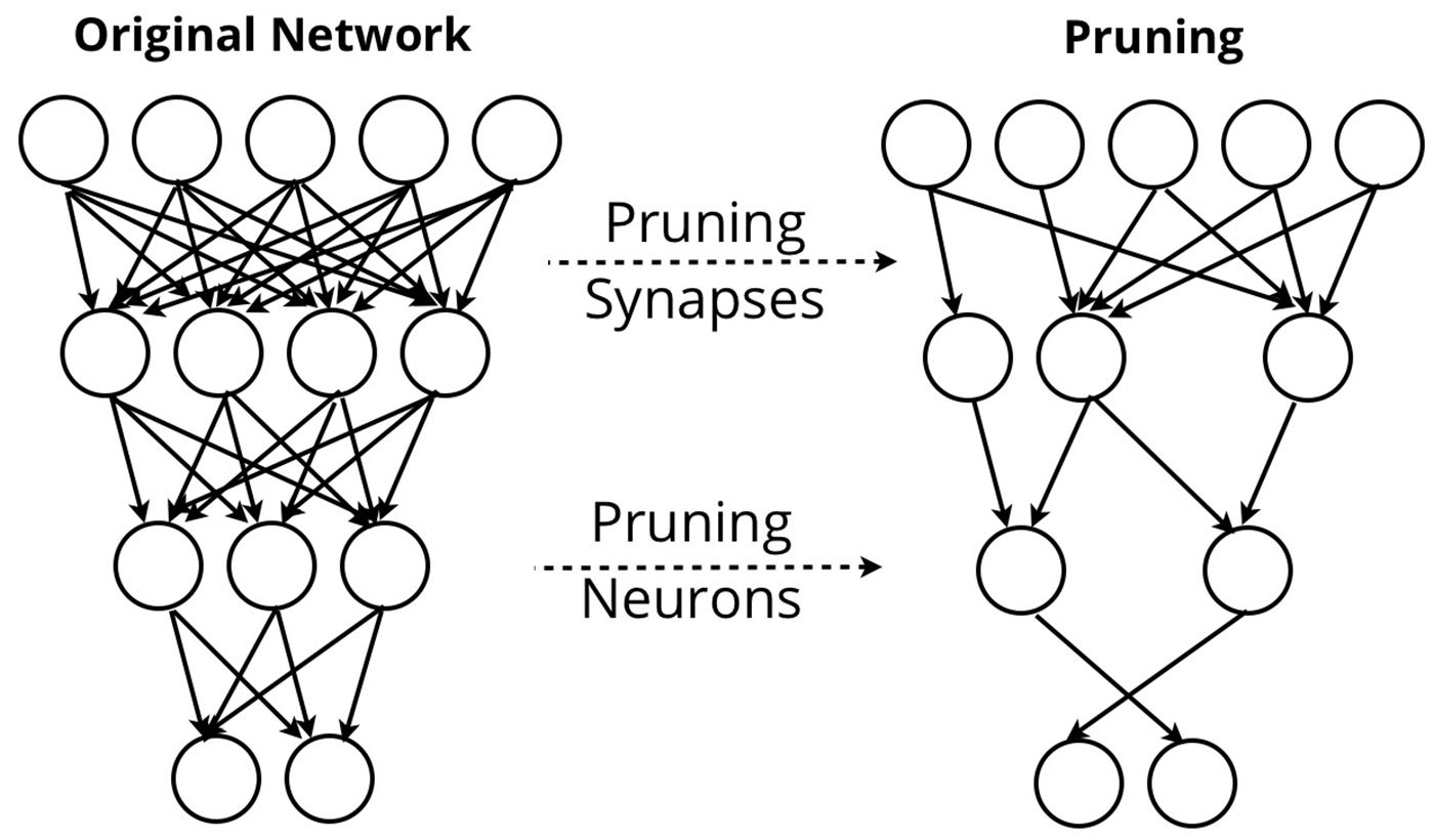 compression schemes on neural network sizes
