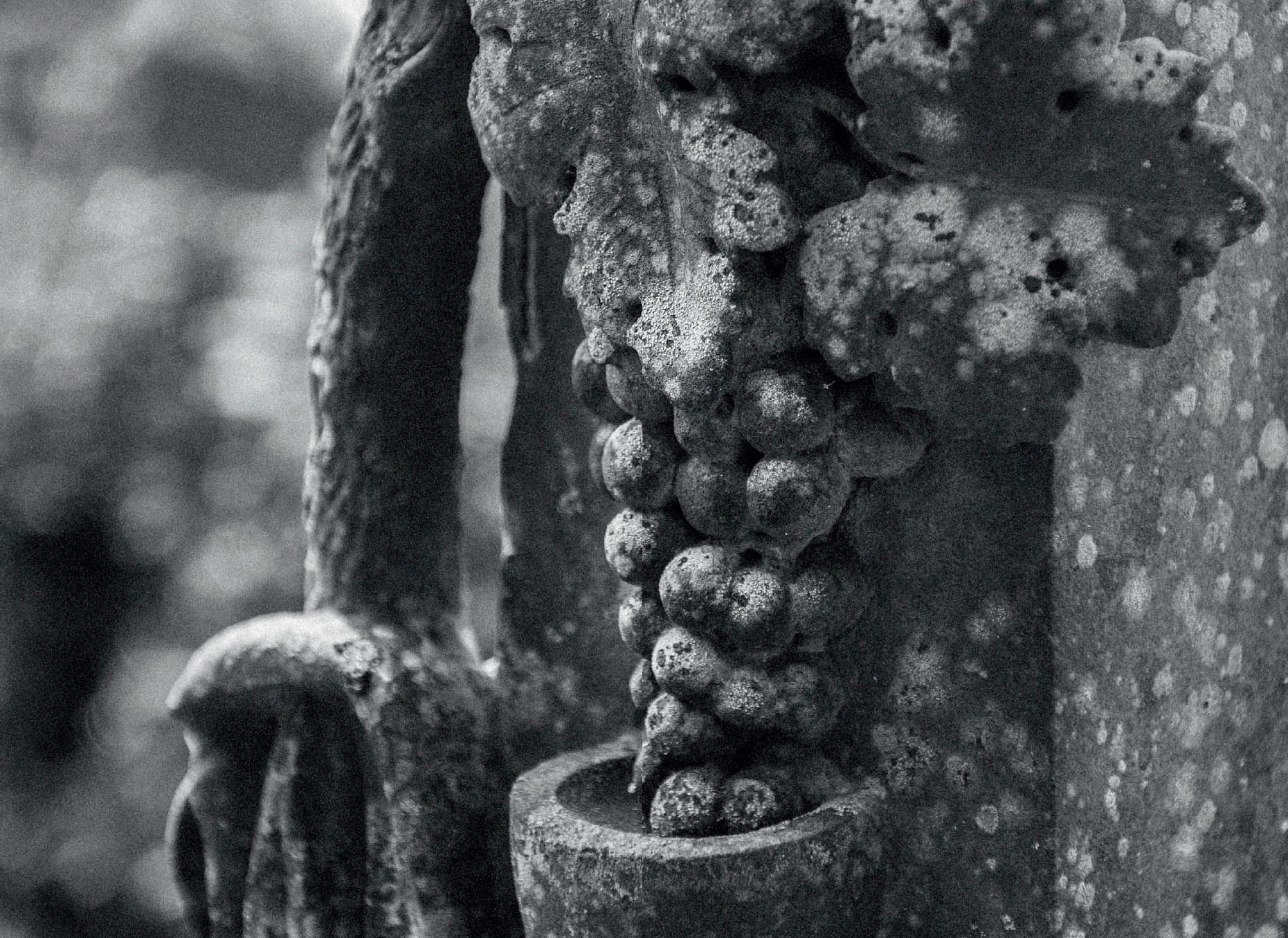 Lateinisch Gula Eine Der Sieben Todsünden 5 Gula – Völlerei - Die sieben Todsünden der Fotografie [Book]
