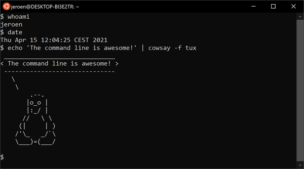 A screenshot of the Command line window on Ubuntu.
