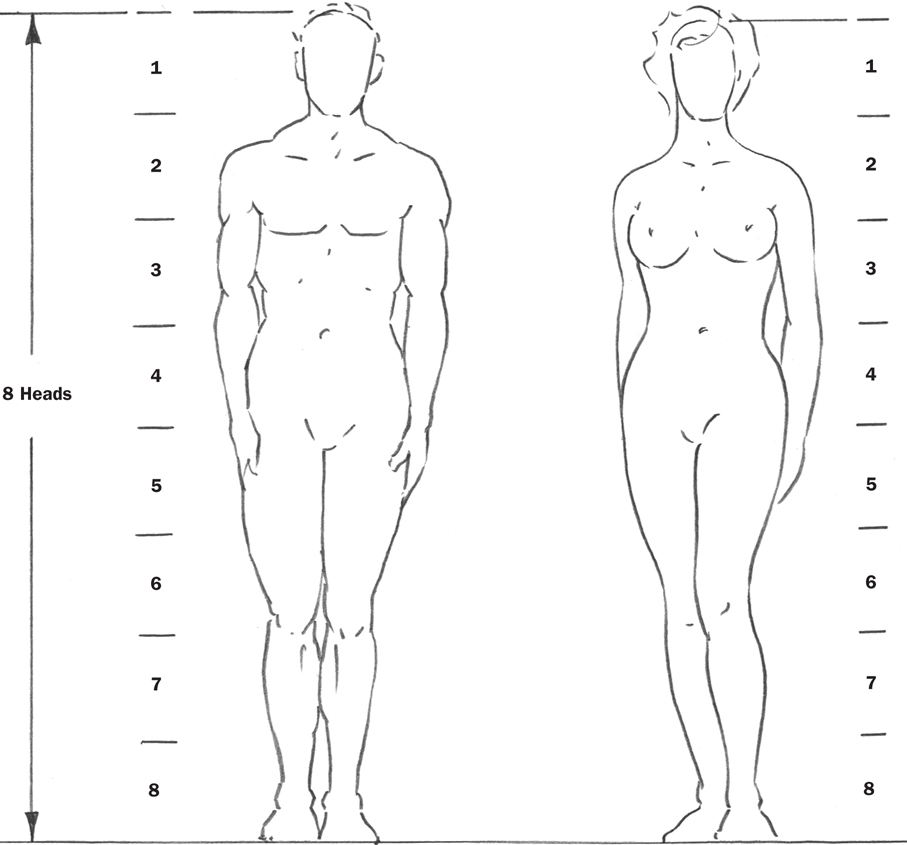 Adult Body Proportions - Drawing: People with William F. Powell [Book]