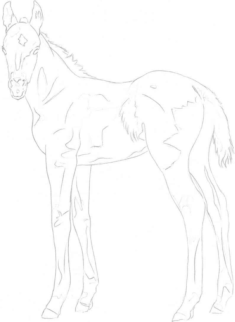 Horses & Ponies - The Art of Drawing Animals [Book]