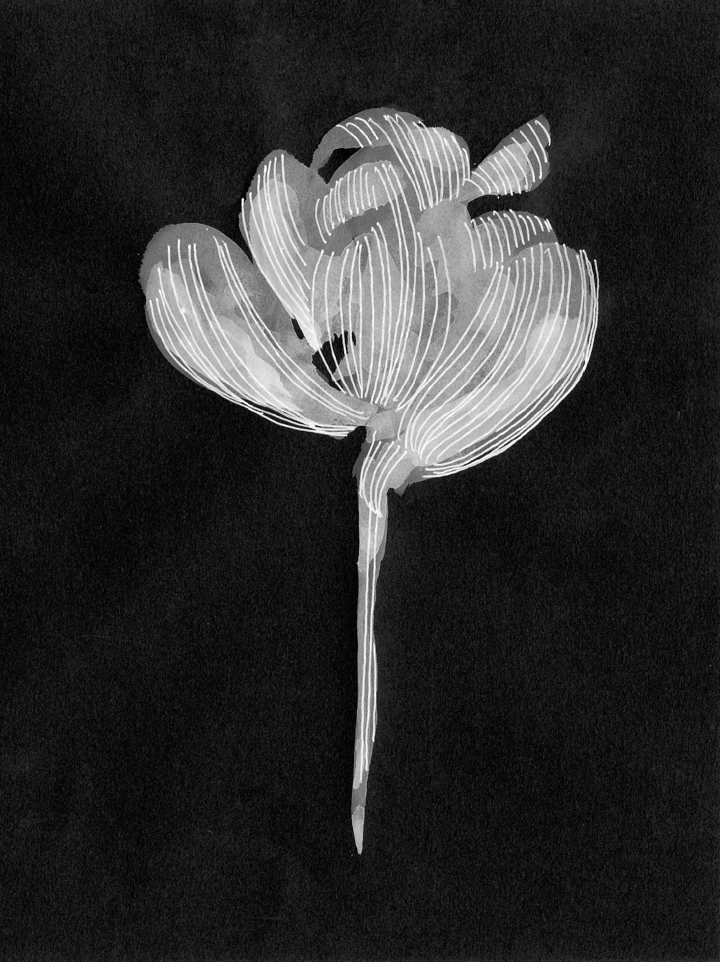 EXERCISE 16 White on White - Drawing in Black & White [Book]