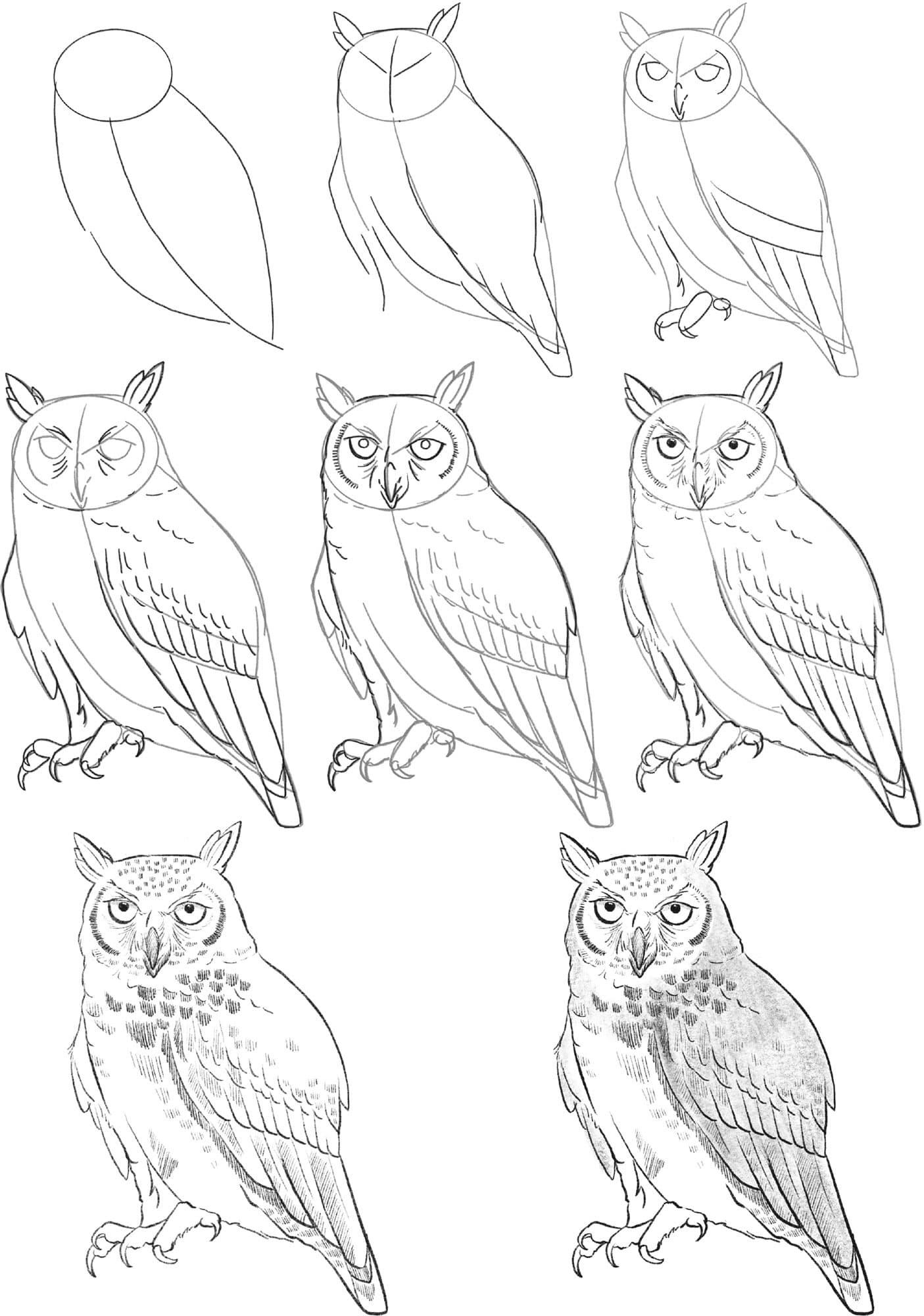 How to get started with sketching birds – Julia Bausenhardt