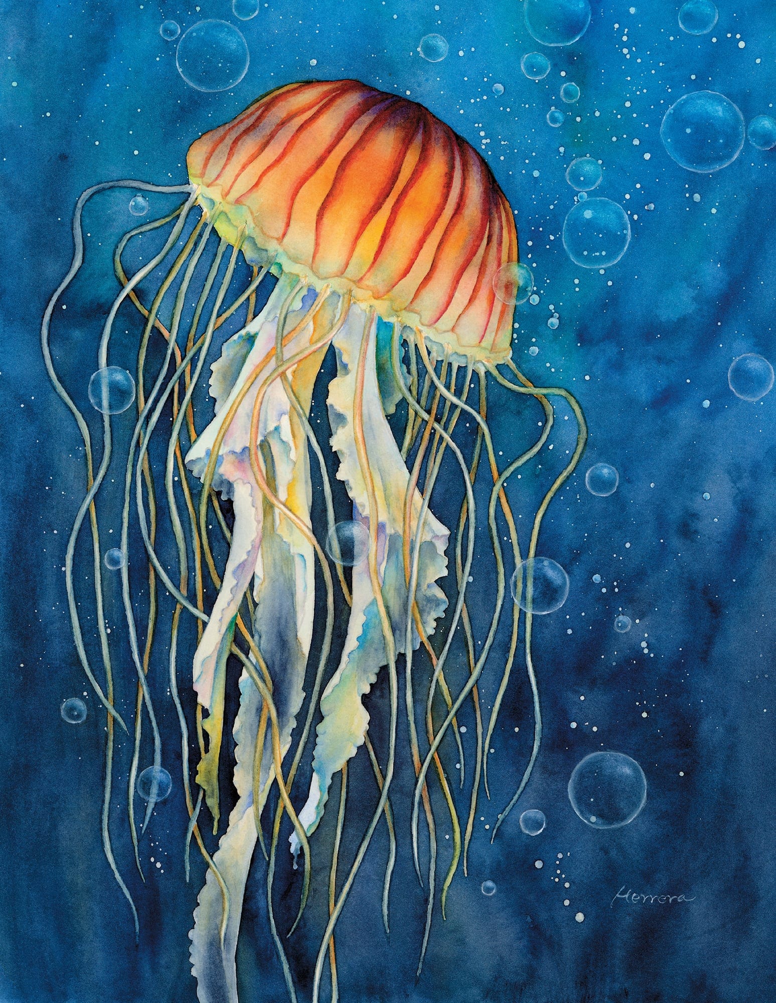 Chapter 1: Introduction - The Art of Painting Sea Life in Watercolor [Book]