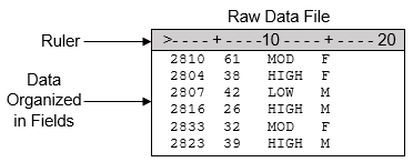 Raw Data File