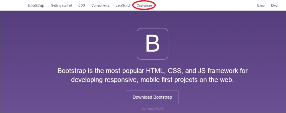 Using the Bootstrap customizer