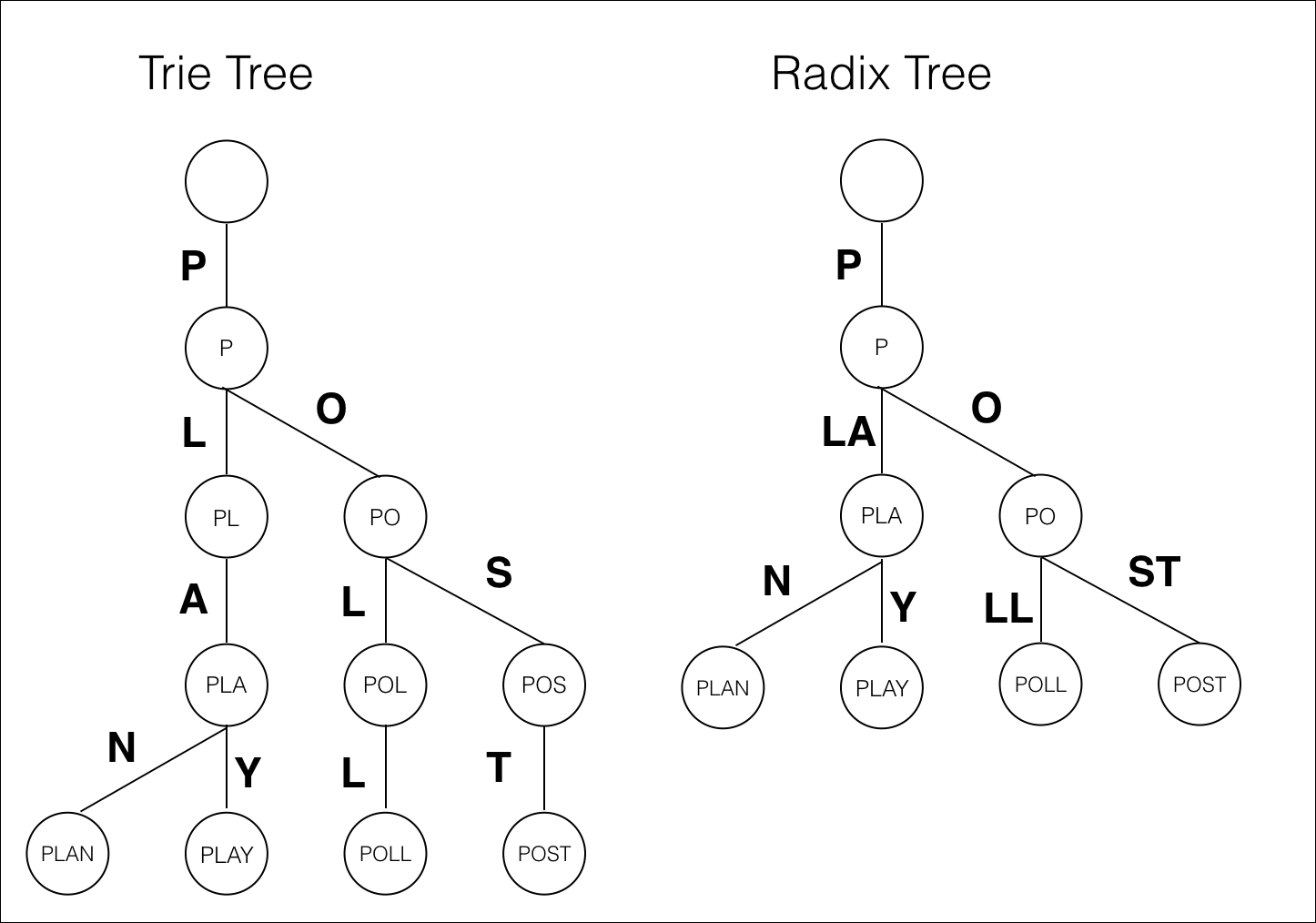 Radix Tree Lieferketten Compliance Einfach Gemacht!