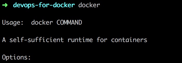 Basic Docker Terminal Commands