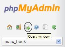 The Query window